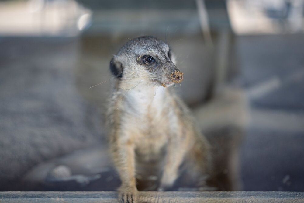 WEBサイズDSC01017.jpg