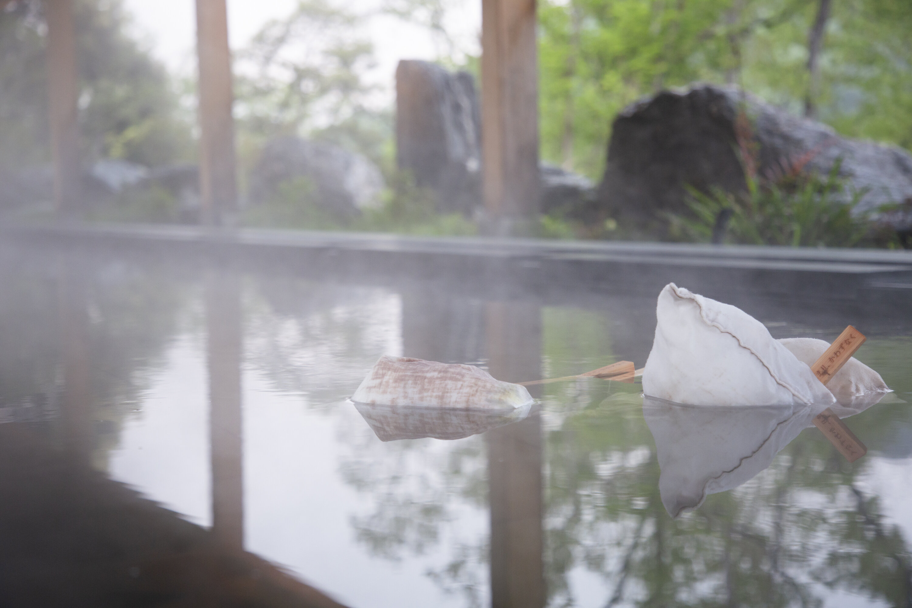 VISON（ヴィソン）で体験する本草湯の魅力！薬草湯とサウナでリフレッシュ｜三重県多気町