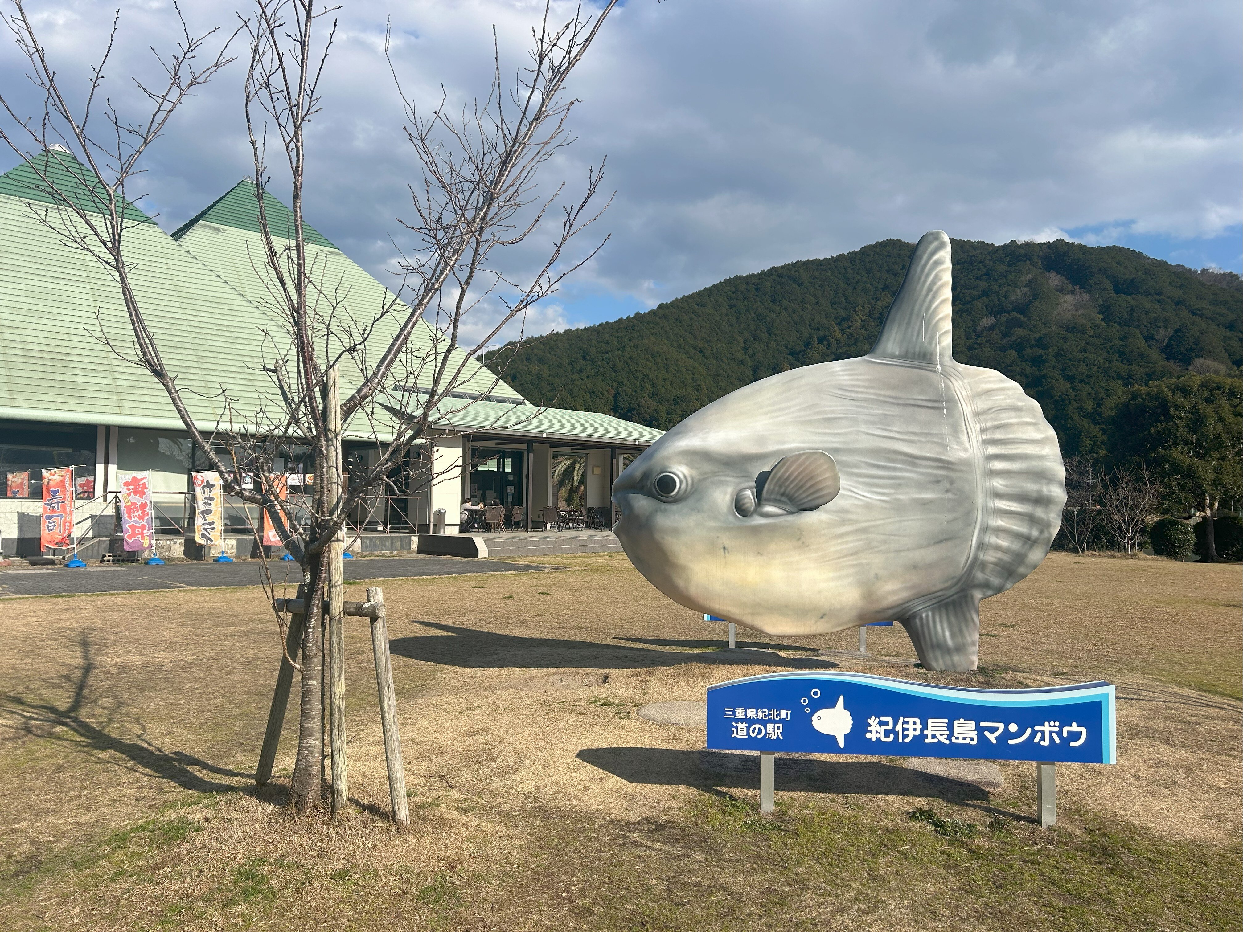 マンボウ.jpg