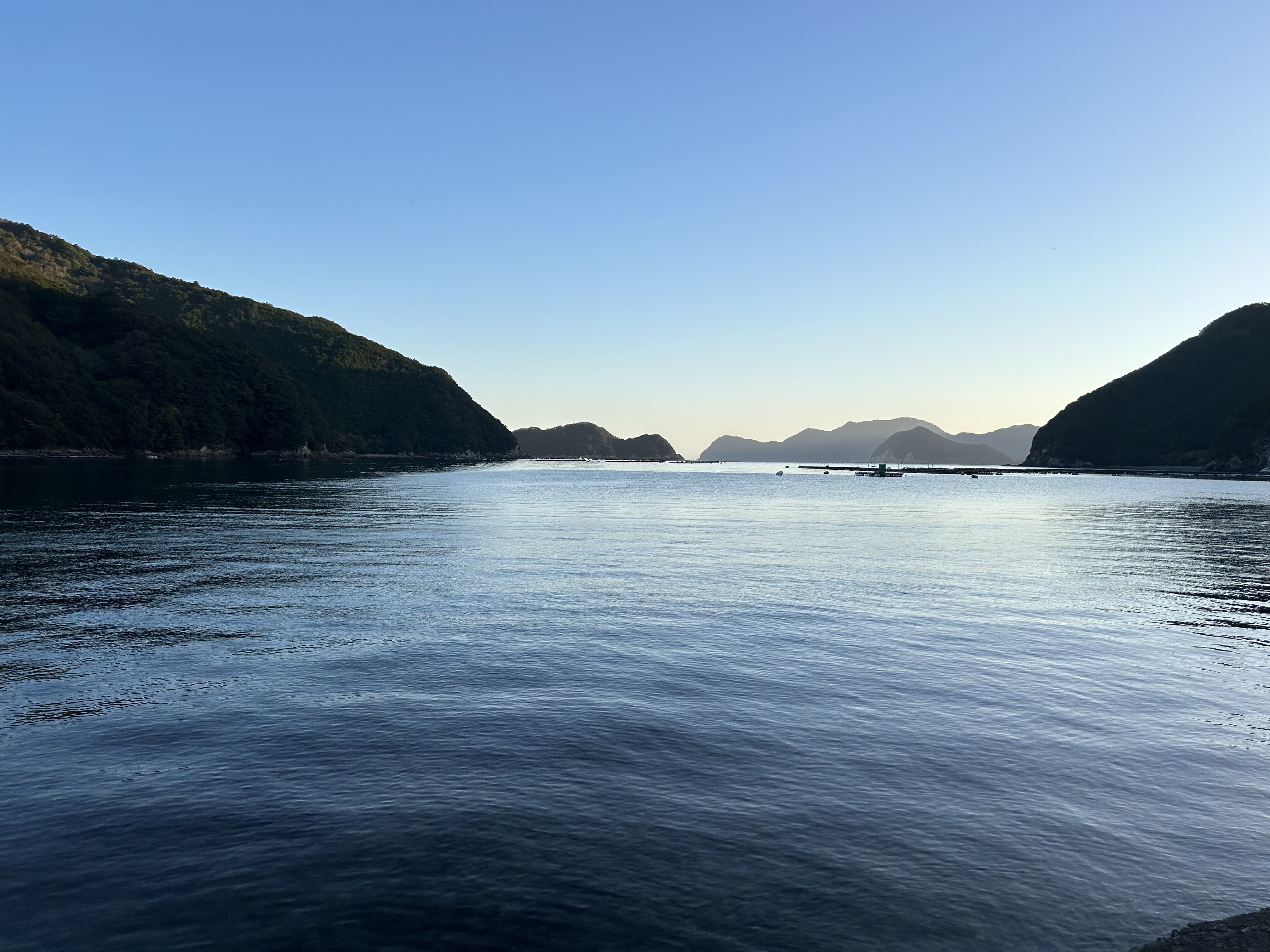 IMG-7374.jpg