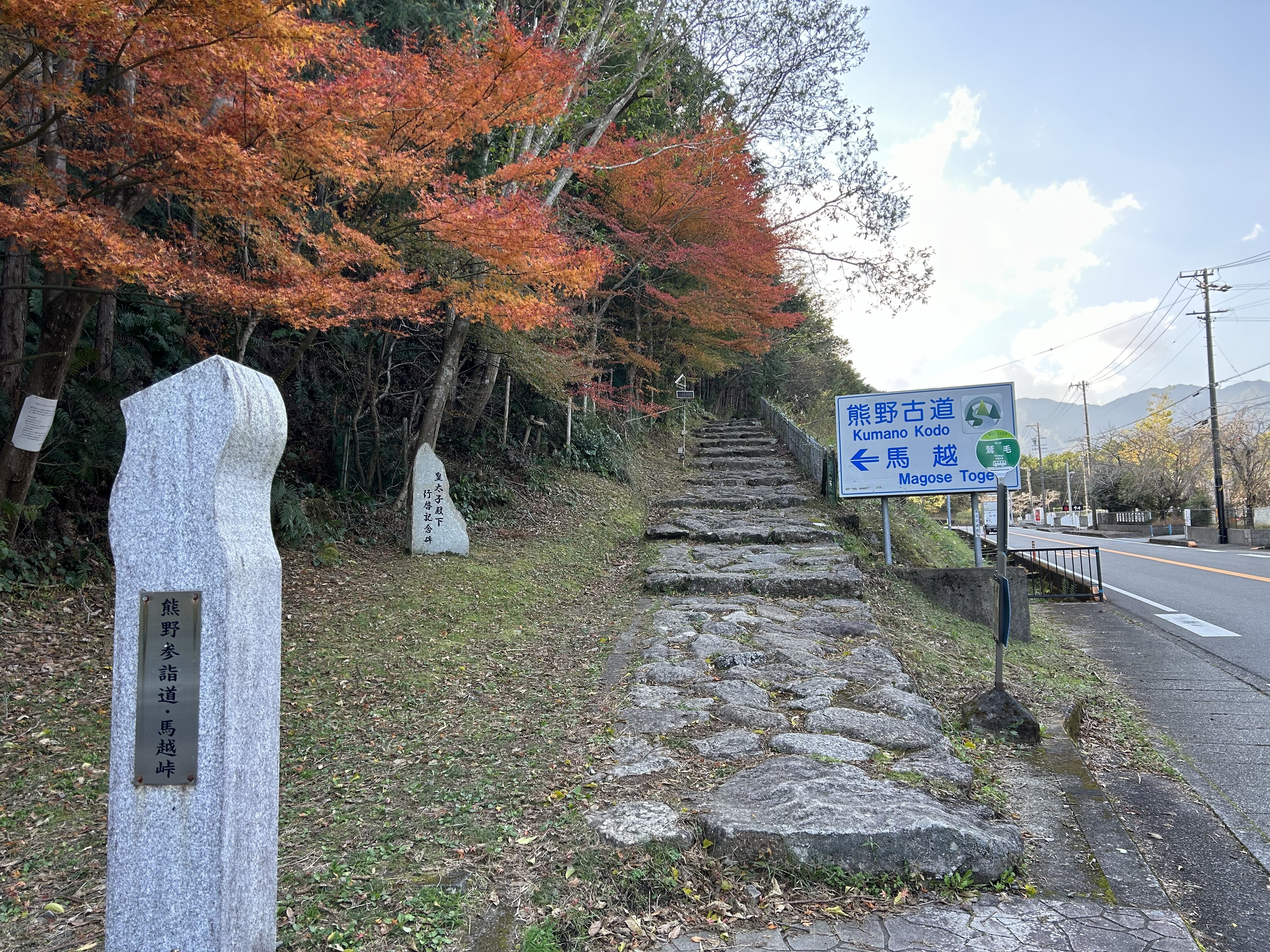 IMG-7143.jpg
