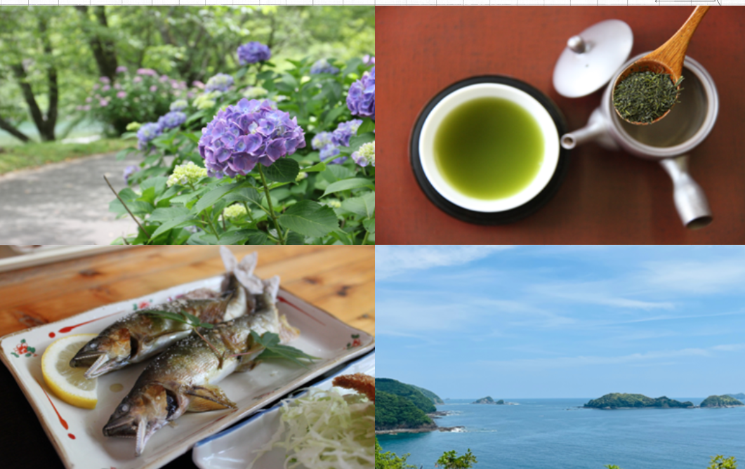 今この場所でしか味わえない！度会町＆大台町＆紀北町巡り