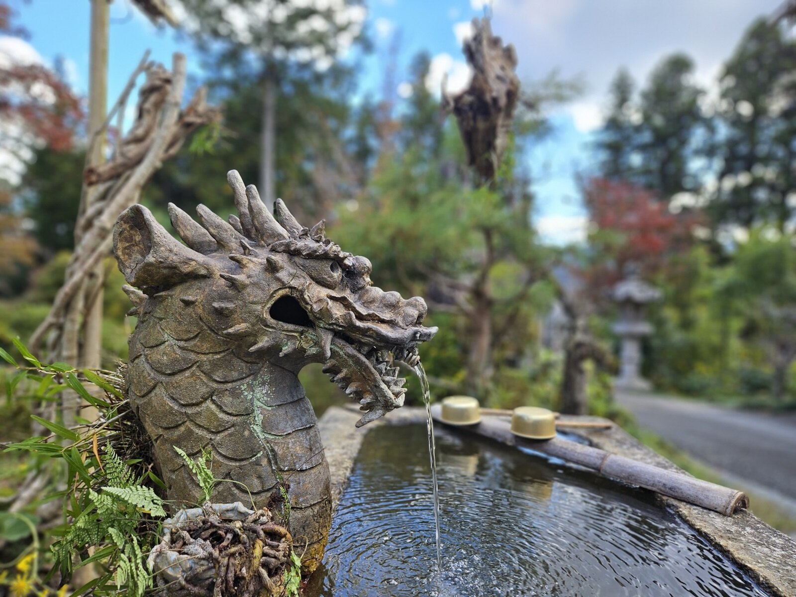【今見頃】紅葉と桜が同時にみれる！三重県度会町にある国束寺（くずかじ）をご紹介