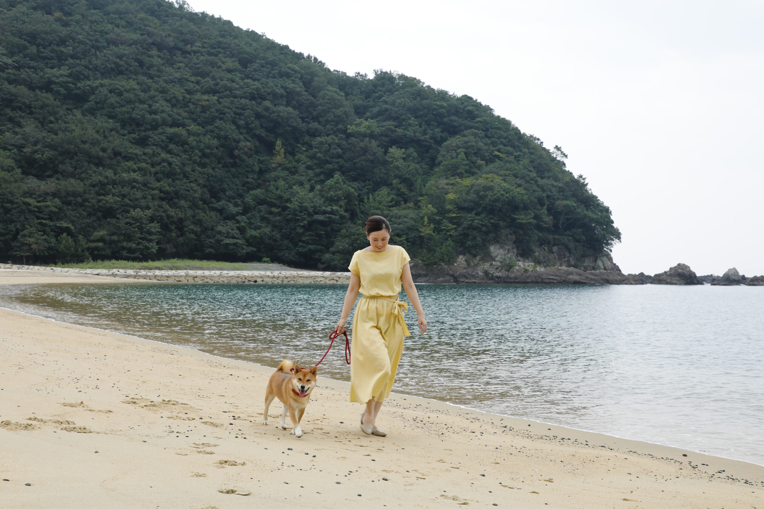 【VISON（ヴィソン）から紀北町へ】海も！おいしい食事も！ワンちゃんと楽しむ1泊2日の欲張り旅