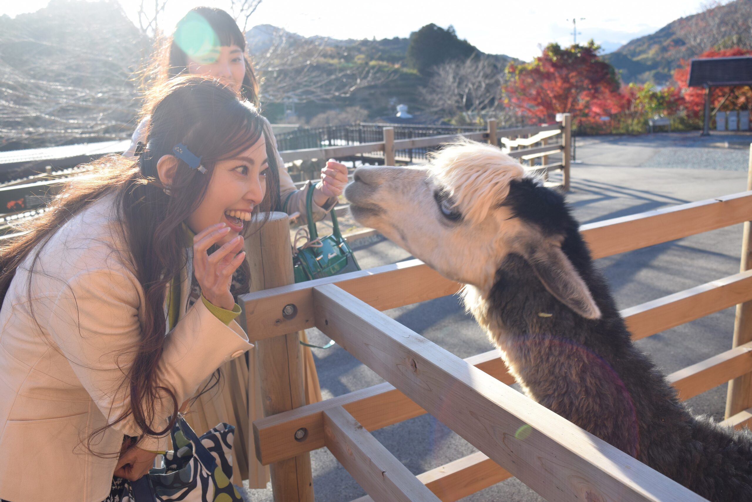 2024年12月「ごかつら池どうぶつパーク」イベント情報　冬休みはVISONから車で10分の動物園で楽しもう